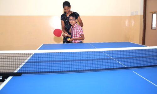 Indoor game